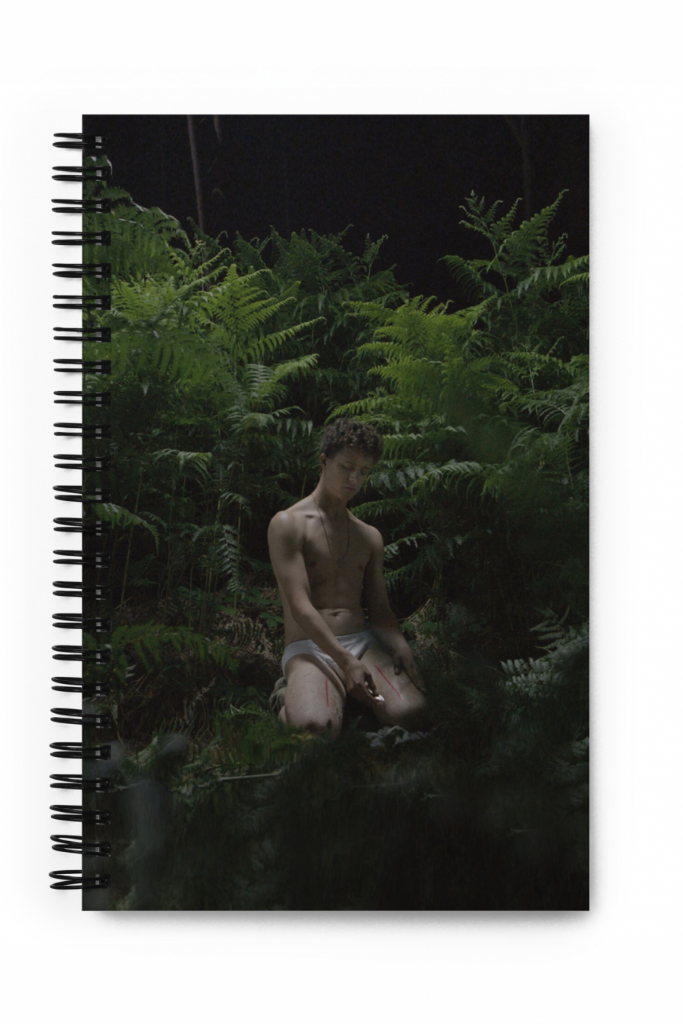 Ruins - Notebook